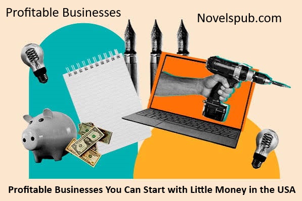 Profitable Businesses in the USA